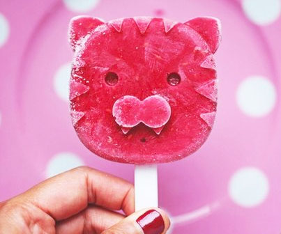 Wildlife Popsicle Molds